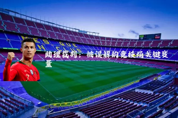 助理裁判：被误解的竞技场关键变量